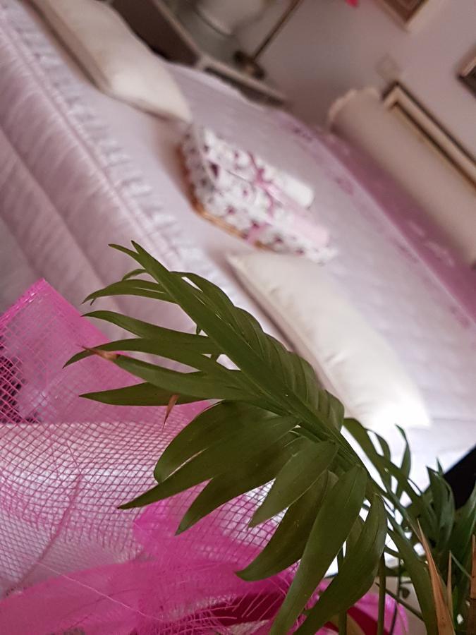 B&B La Delice Dalmine Bagian luar foto